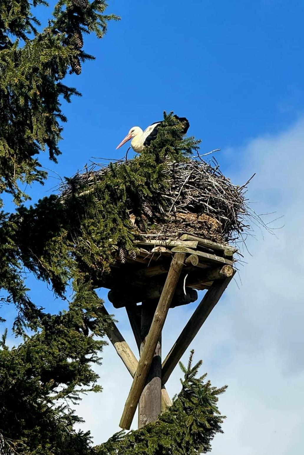 Stara Szkolas7 Noclegi,Mzajezierze 8 14-330 Mazury Małdyty Exterior foto